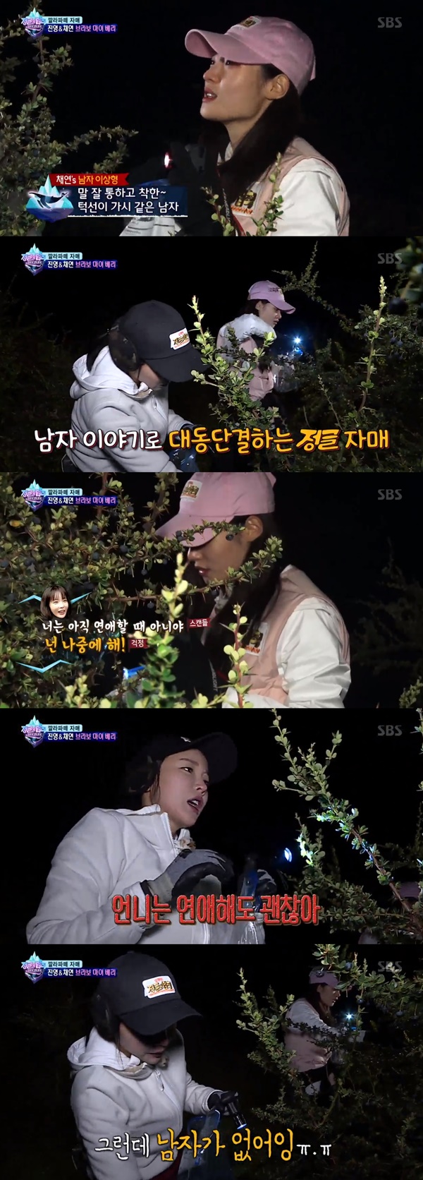 (SBS '정글의 법칙')