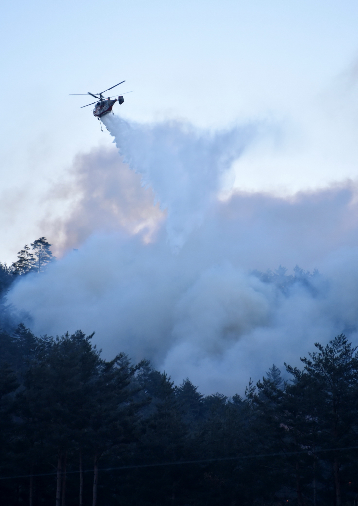 ▲산림헬기가 강원 삼척 산불을 진화하고 있다.(산림청)