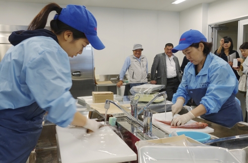 ▲일본 후쿠시마 현 이와키 시의 어업실험실에서 지난해 10월 12일(현지시간) 연구원들이 세슘 수치를 측정하기 위해 물고기를 준비하고 있다. 세계무역기구(WTO)는 22일 후쿠시마 수산물 수입금지 분쟁 1심에서 한국에 패소 판정을 내렸다. 이와키/AP뉴시스
