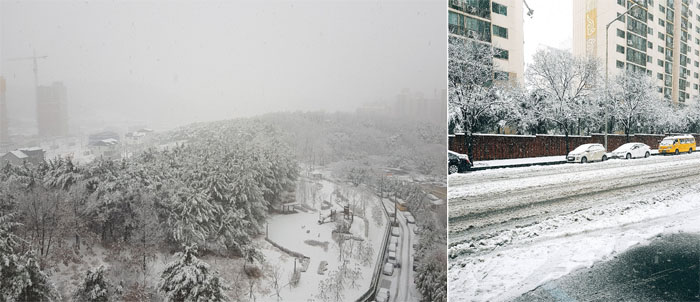 (출처=대구광역시 트위터)