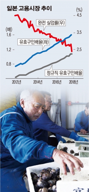 ▲일본 미야기 현의 한 어촌에서 노인들이 경매에 내놓을 조개를 선별하는 작업을 하고 있다. 일본은 저출산 고령화로 노동인구가 급격히 줄고 있으나 대안인 이민 개혁에 대한 반감이 크다.  블룸버그
