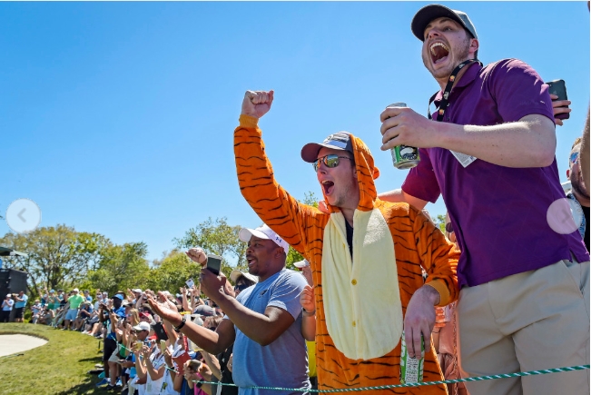 ▲호랑이 복장을 한 우즈 팬이 열렬히 응원하고 있다.