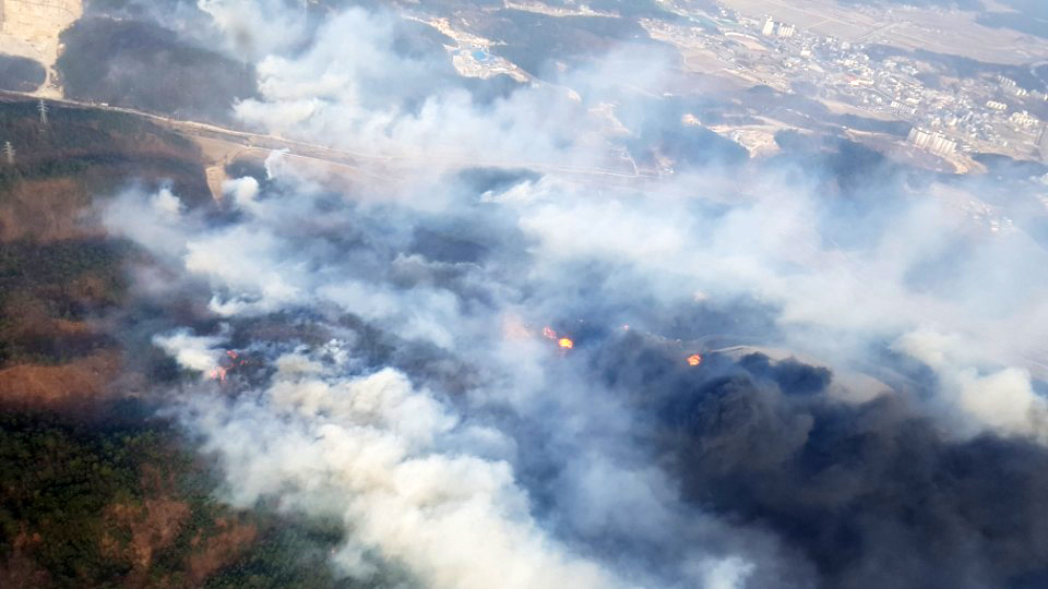 (사진제공=강릉산림항공관리소)