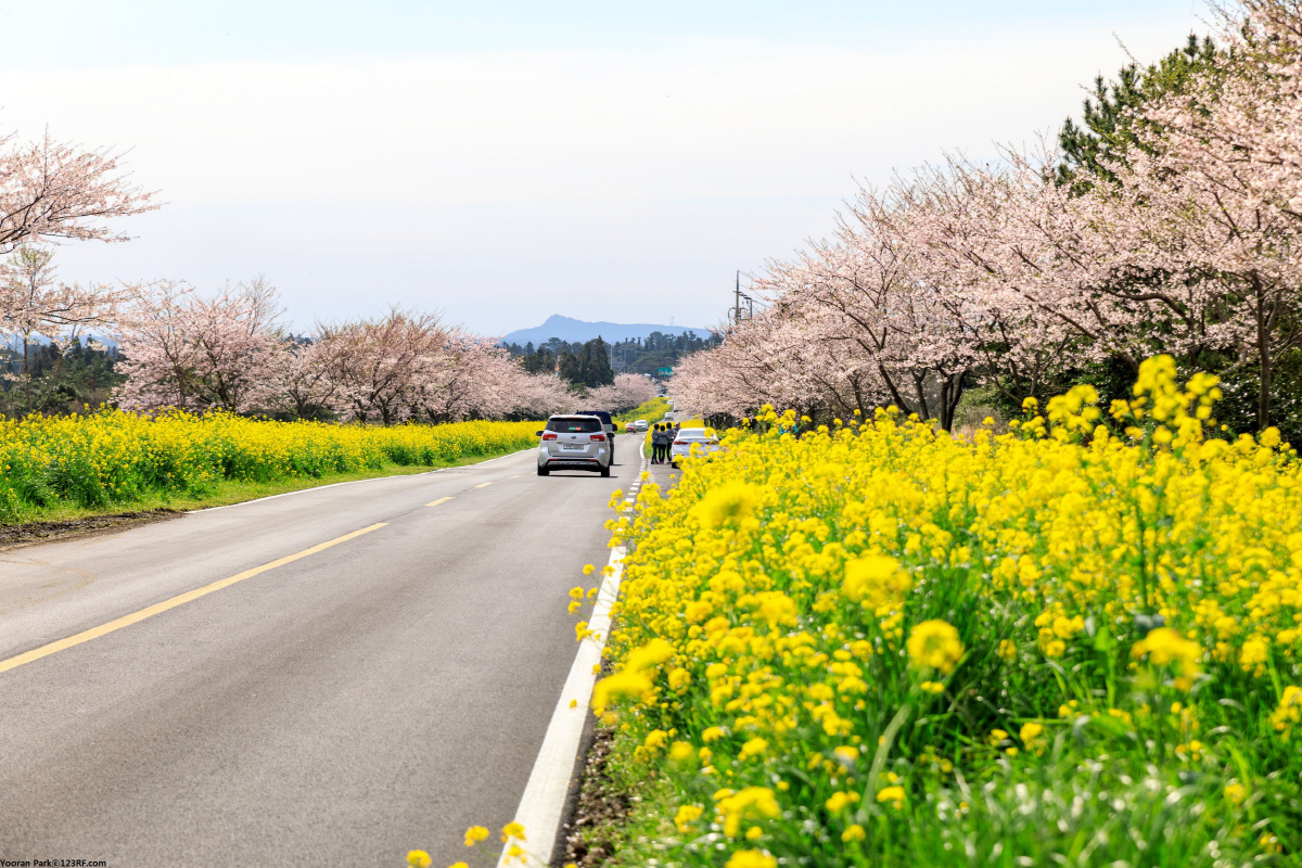 ▲제주 녹산로 (사진제공=인터파크투어)