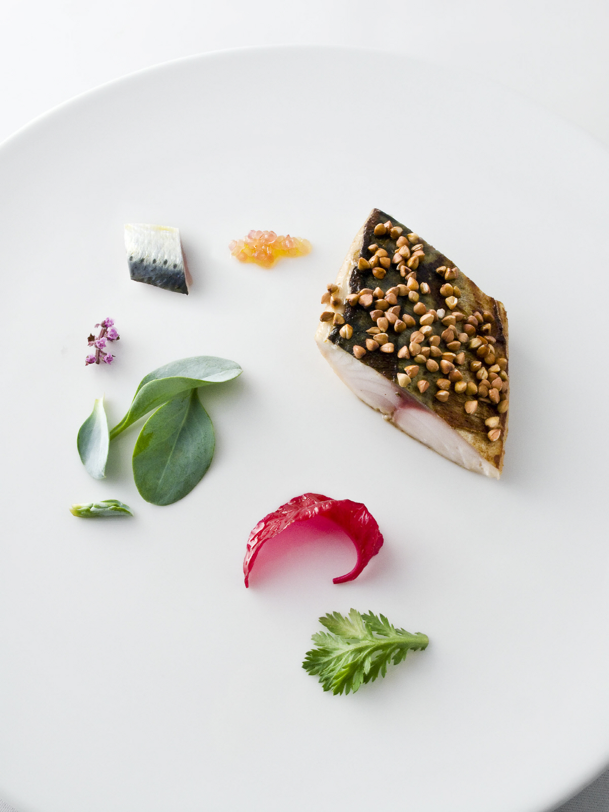 ▲사진제공=해비치