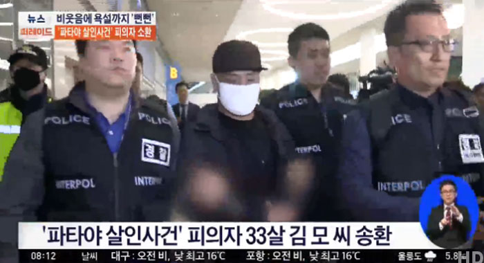 (출처=TV조선 뉴스 캡처)