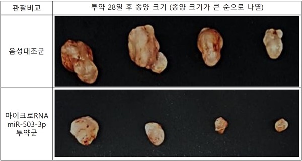 (사진제공=프로스테믹스)