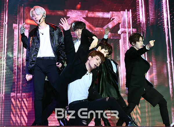 ▲느와르(사진=고아라 기자 iknow@)