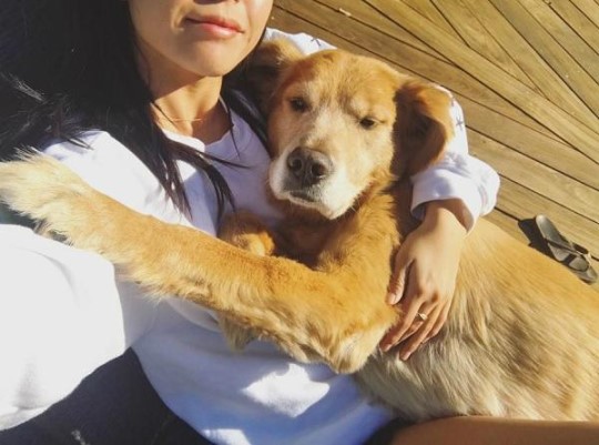 (▲사진=다니엘 헤니-류 쿠마가이 인스타그램 )