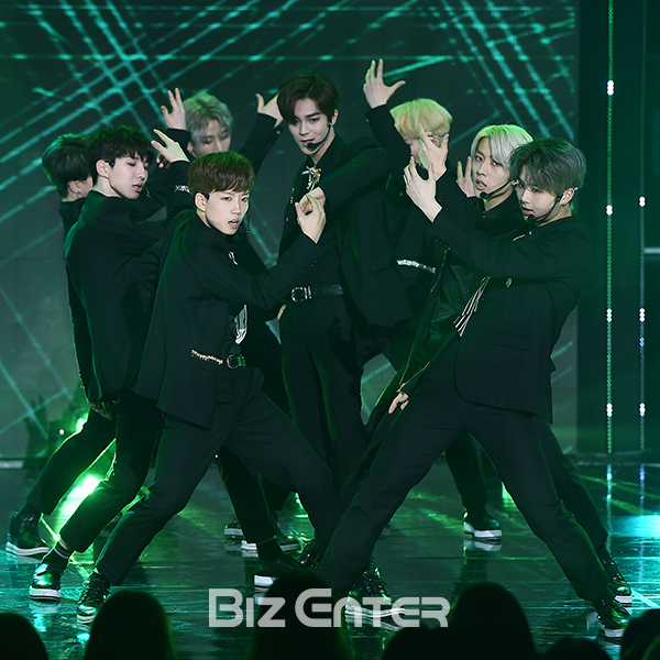 ▲느와르(사진=고아라 기자 iknow@)