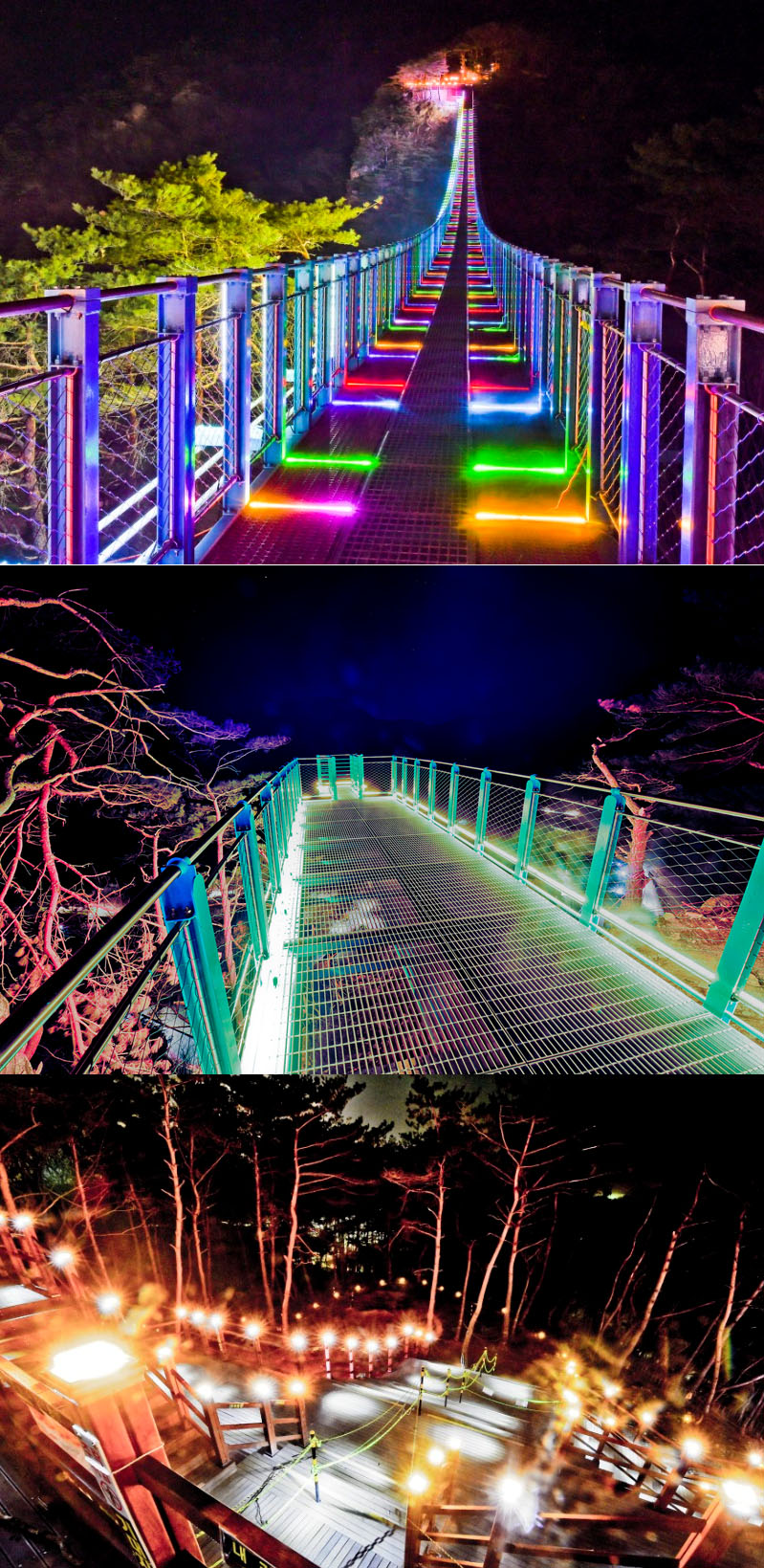 (원주시 공식 블로그)