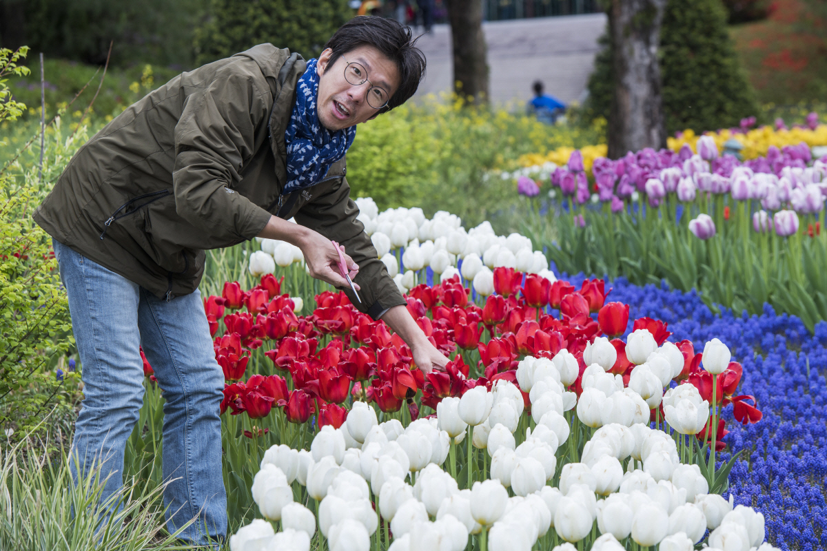 ▲이준규 삼성물산 리조트부문 에버랜드 식물콘텐츠그룹장이 경기 용인 에버랜드 내 튤립정원에서 인터뷰에 앞서 사진촬영을 하고 있다. 이 그룹장은 조경학 박사이자 10년 넘게 에버랜드의 정원을 가꾸고 디자인하는 조경전문가다. 에버랜드의 상징인 ‘튤립축제’의 콘셉트 기획부터 운영까지 총괄하고 있다.