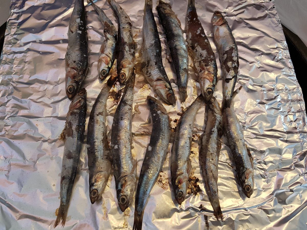 ▲ 멸치구이. 봄날 동해나 남해를 찾는다면 당연히 먹어봐야 한다. 