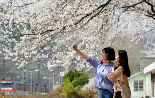 (사진제공=경산시)