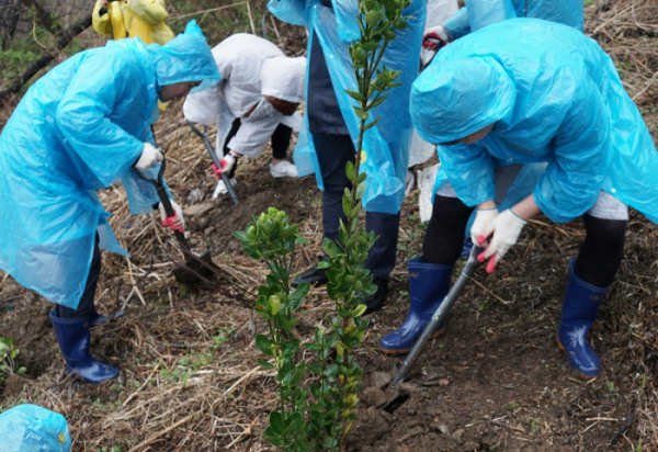 ▲CJ헬스케어 임직원들이 서울 노을공원에 마련된 'CJ헬스케어 건강한 숲'에서 나무를 심고 있다.(CJ헬스케어)