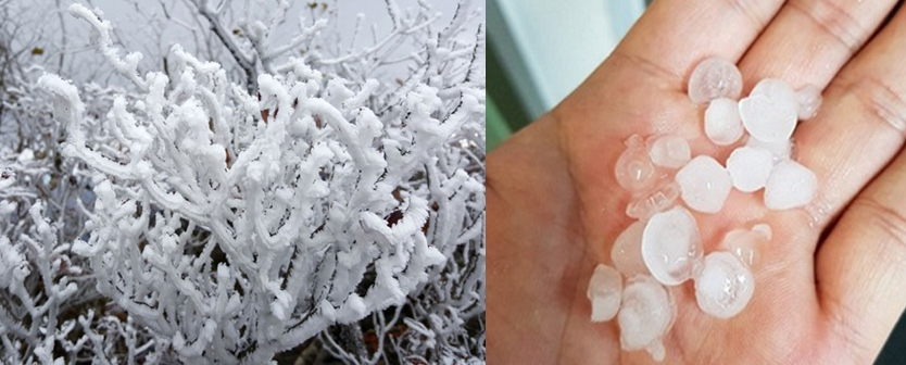 (출처=연합뉴스, 트위터)