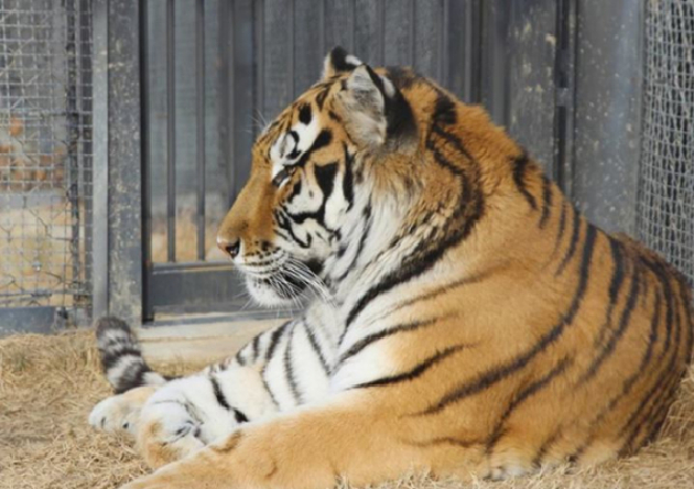 (국립백두대간수목원 홈페이지)