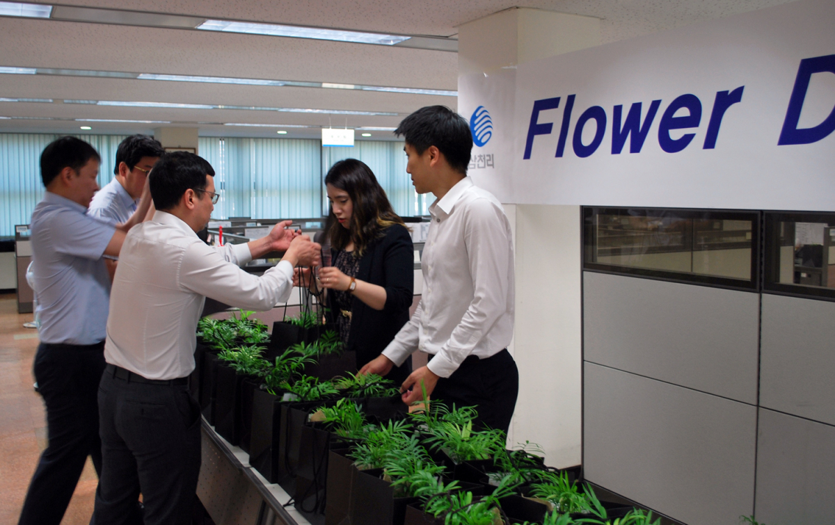 ▲삼천리가 플라워데이 행사를 실시해 임직원들에게 꽃 화분을 선물하고 있다.(사진제공=삼천리)