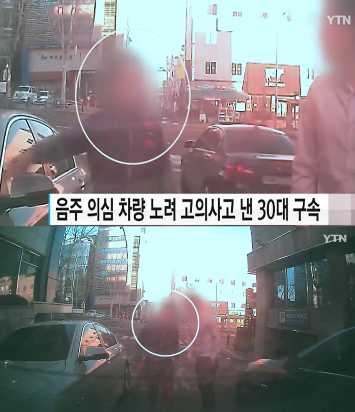 (출처=YTN 뉴스 캡처)