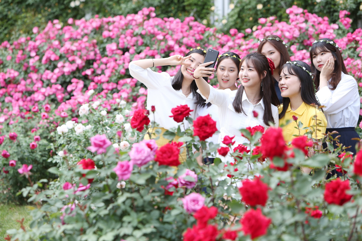 ▲사진제공=삼성물산