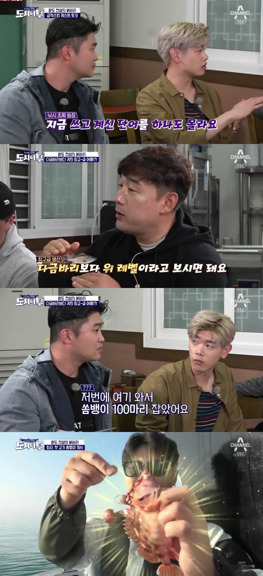 (출처=채널A '도시어부' 캡처)