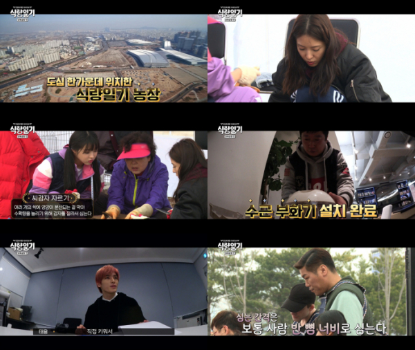 ▲'식량일기 닭볶음탕 편' 1회 캡처(사진=tvN)