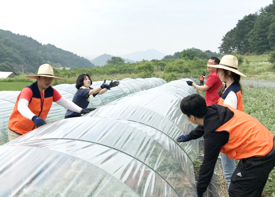 ▲소상공인시장진흥공단이 세종시 전의면 다방2리에서 ‘농촌 일손돕기 활동’을 펼쳤다고 18일 밝혔다.(소상공인시장진흥공단)