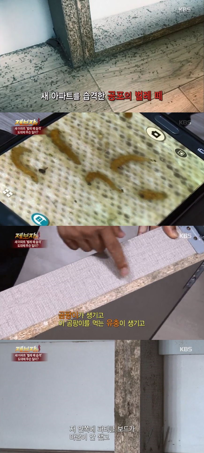 (출처= KBS '제보자들' 캡쳐)