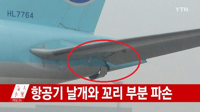 (출처=YTN 영상 캡처)