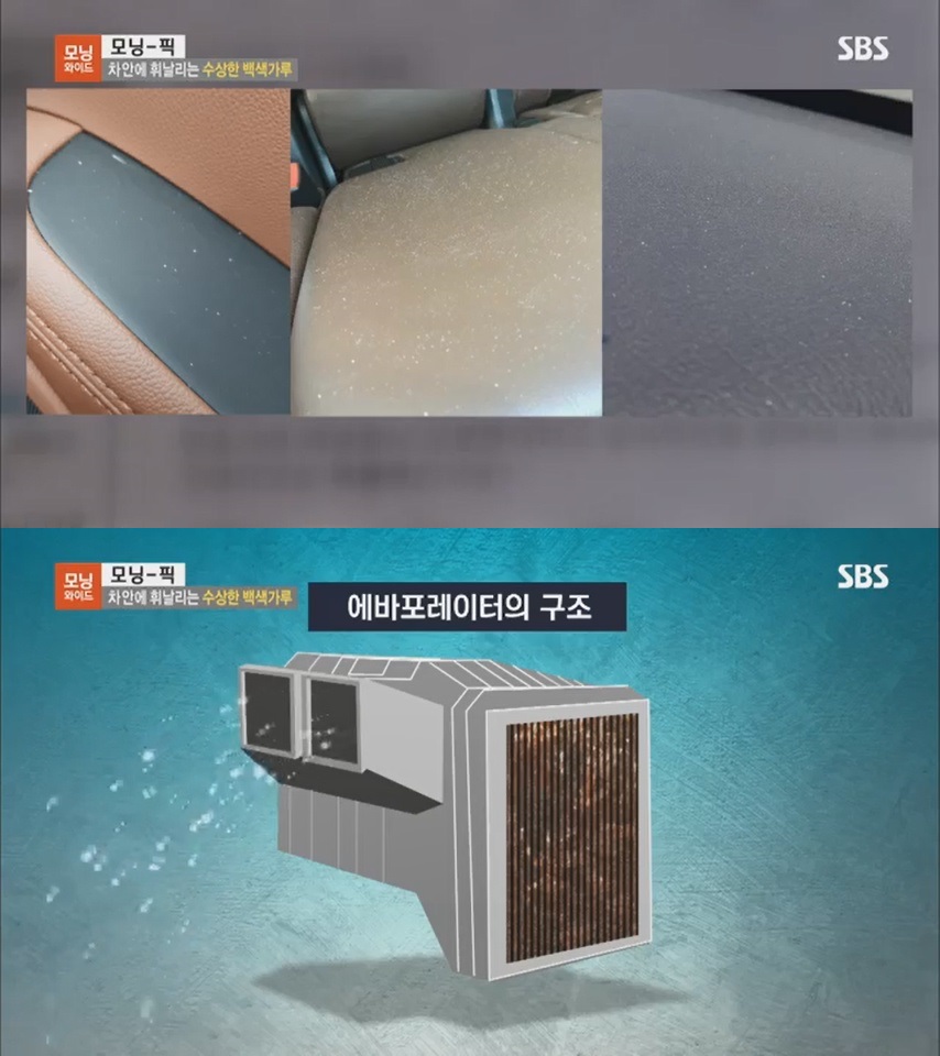 (출처=SBS '모닝와이드' 영상 캡처)