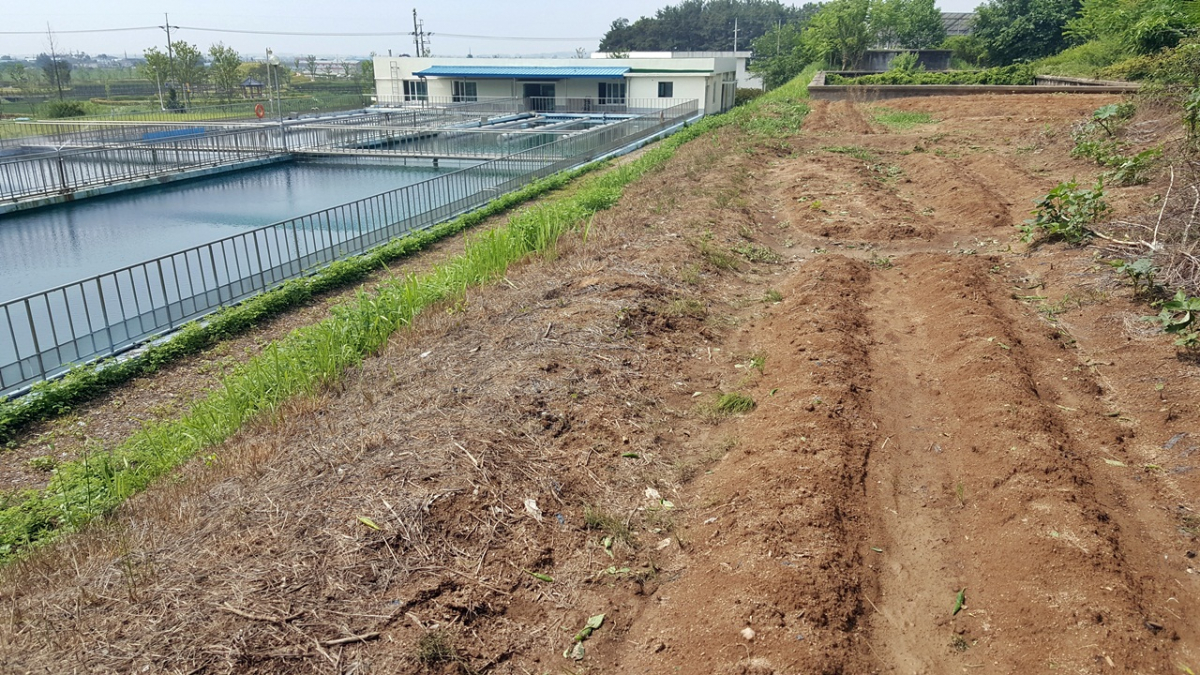 ▲기사와 관련없는 농지 모습(뉴시스)