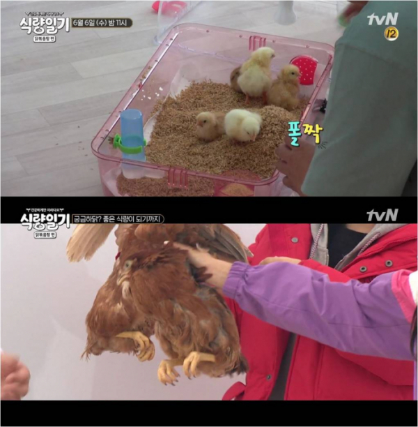 (출처=tvN '식량일기' 캡처.)