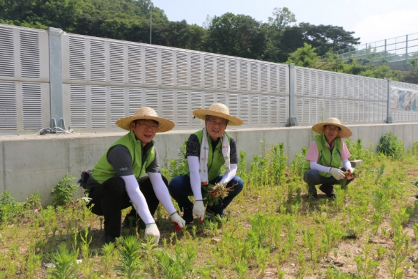 ▲국가 공휴일인 지난 6일 홍재은 NH농협금융지주 상무와 사업전략부문 직원들이 경기도 의정부시 자일동에 위치한 귀락마을을 방문해 환경정화 활동과 제초작업 등을 펼치고 있다. 사진제공 NH농협