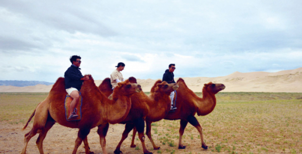 ▲사막 낙타 체험(몽골리아세븐데이즈 제공)