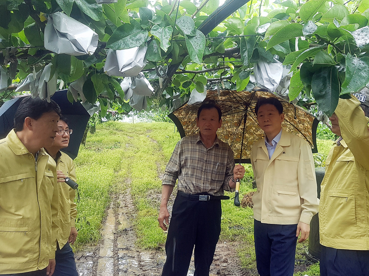 ▲허식 농협중앙회 부회장(오른쪽에서 두 번째)이 3일 부산 기장군 장안읍 오리 윤정우씨의 배 과수원(6000평)을 방문해 농가의 애로사항을 청취하고 있다.(농협중앙회)