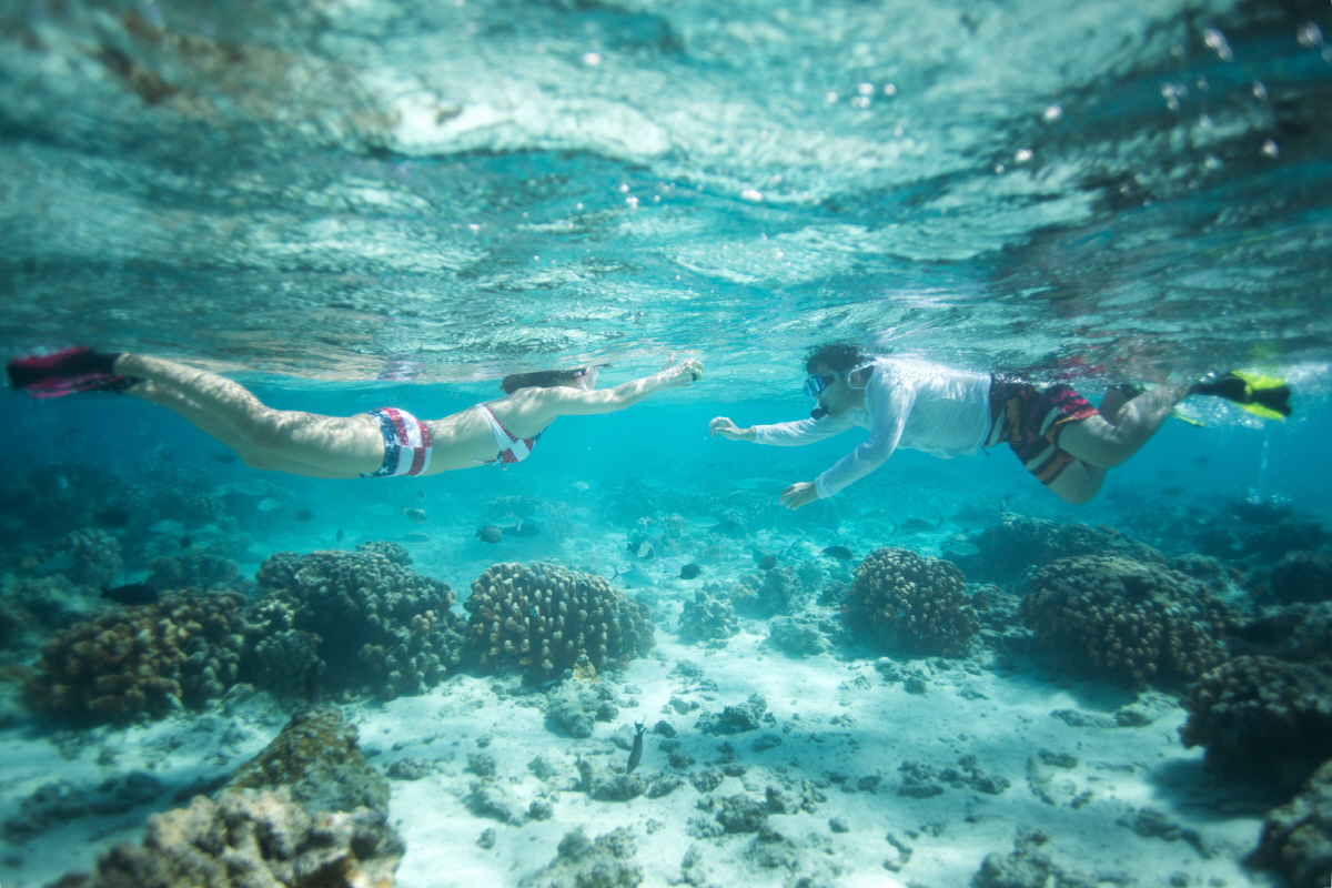 ▲마나가하 스노쿨링(사진제공=모두투어)