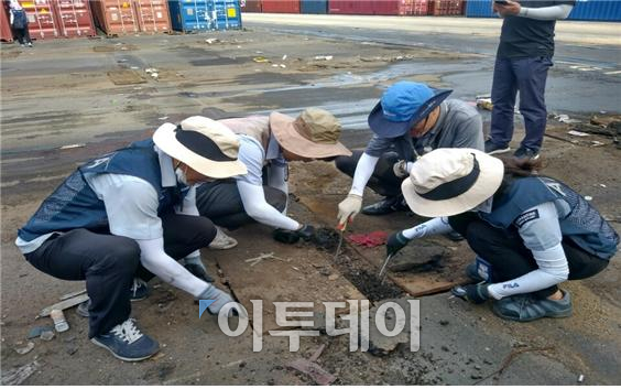 ▲농림축산검역본부, 환경부 등 관계기관과 학계 전문가 등이 붉은불개미 합동조사를 벌이고 있다.