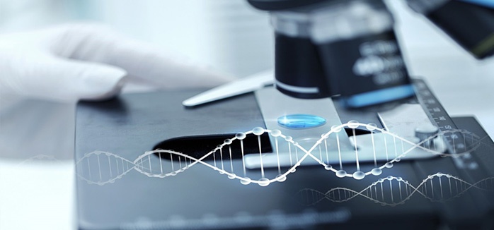 (출처=식약처 홈페이지)