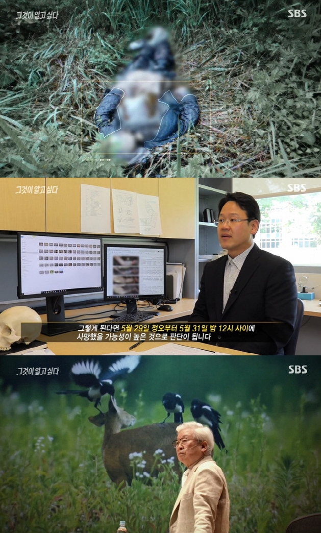 (출처=SBS '그것이 알고 싶다' 방송캡처)