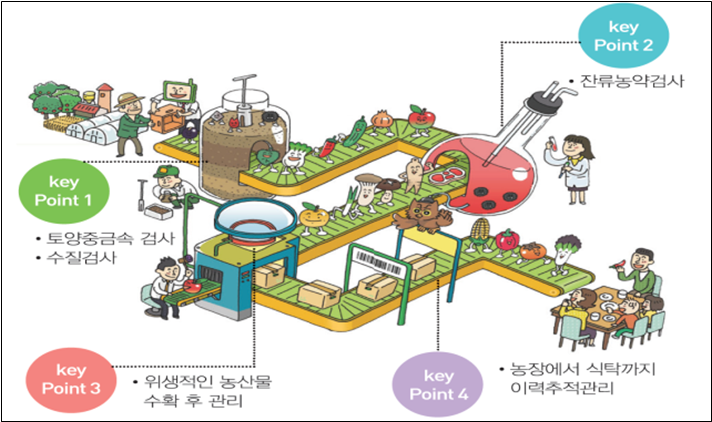 ▲GAP 과정.(농산물품질관리원)