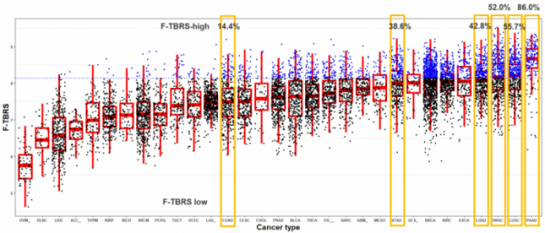 ▲TGF-베타의 바이오마커인 TBRS가 여러 암에서 발현되는 수준을 나타낸 TCGA(The Cancer Genome Atlas) 검사 결과(사진제공=메드팩토)