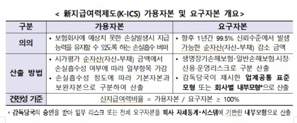 (자료제공=금융감독원)