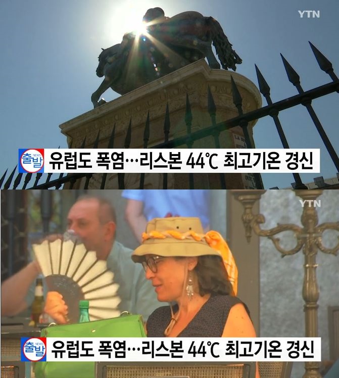 (출처= YTN보도 캡쳐)