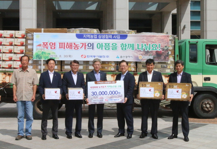 ▲30일 울산시청에서 열린 ‘지역농산물 구매·기부’ 행사에 참석한 박일준 한국동서발전 사장(오른쪽에서 세번째)과 송병기 울산시 경제부시장(왼쪽에서 네번째) 등이 기념촬영하고 있다. (한국동서발전)