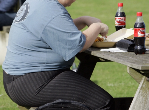 ▲한 비만 남성이 영국 런던의 한 공원에서 식사하고 있다. 폴란드 로츠의대 연구팀은 최근 저탄수화물 다이어트가 조기 사망 위험을 높인다는 연구결과를 발표했다. 런던/AP뉴시스
