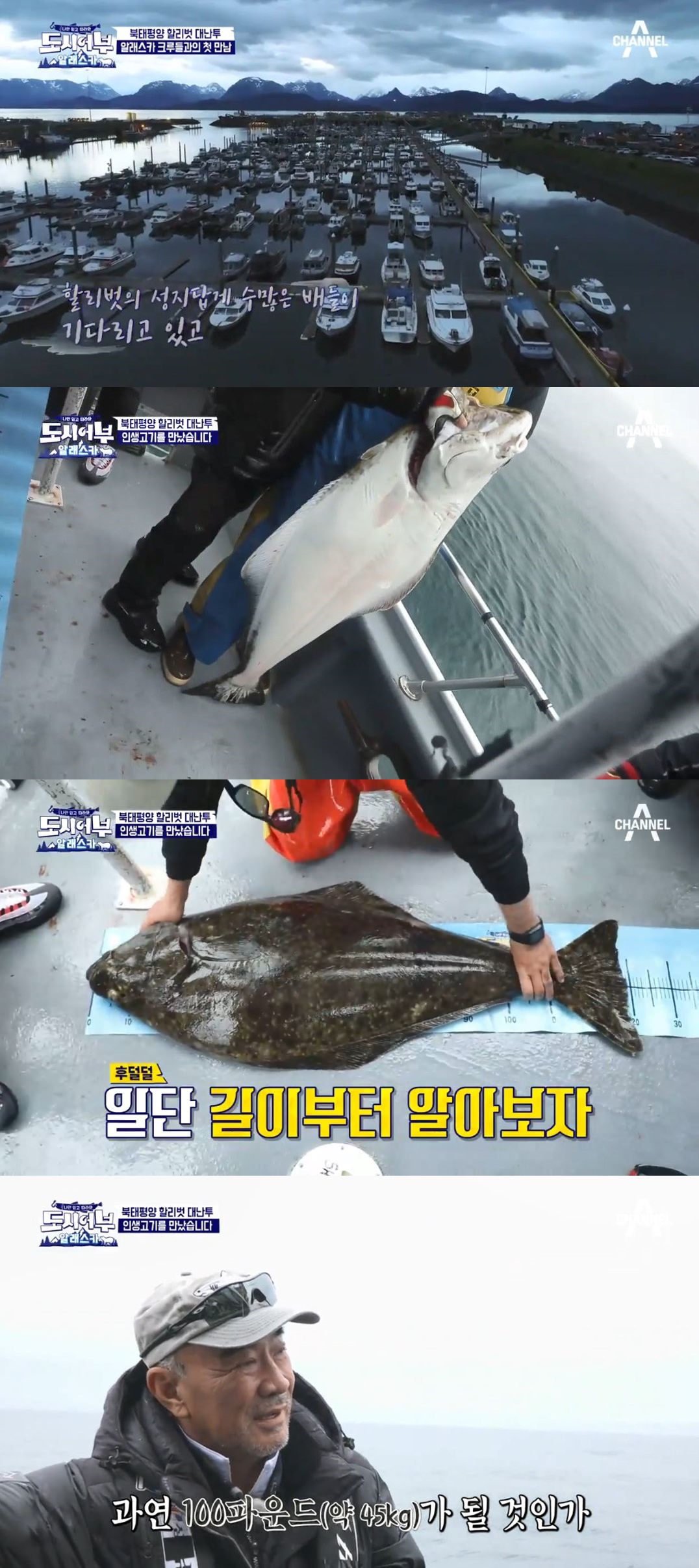 (출처=채널A 화면 캡쳐)