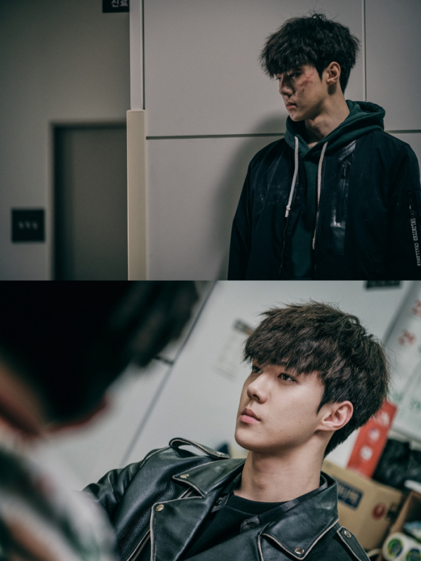 (사진= 삼화네트웍스, 투유드림)