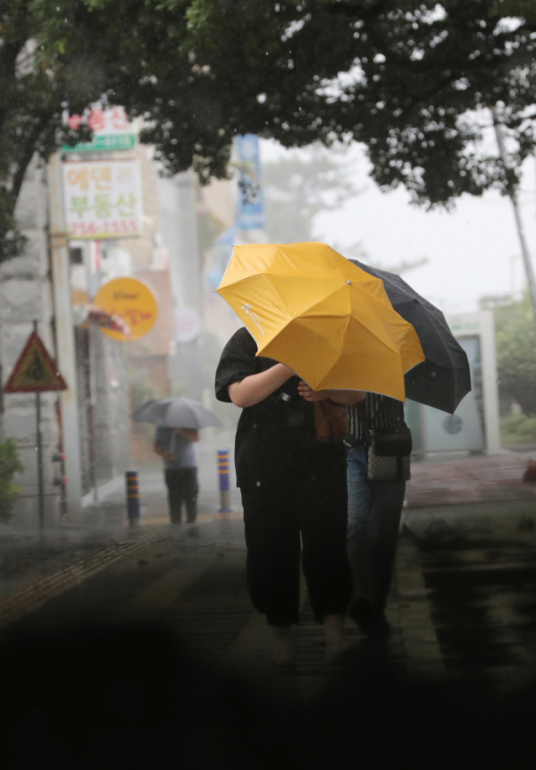 ▲제19호 태풍 '솔릭'의 영향으로 23일 제주도에 강한 비바람이 부는 가운데 시민들이 우산을 쓰고 출근하고 있다.(뉴시스)