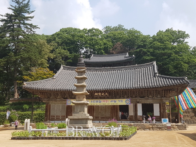 ▲수직으로 우뚝 선 5층 탑 뒤로는 제법 큰 규모의 주 불전인 대광보전이 자리 잡았으며 그 뒤편으로 겹쳐 보이는 2층 지붕이 대웅보전이다.(김신묵 동년기자)