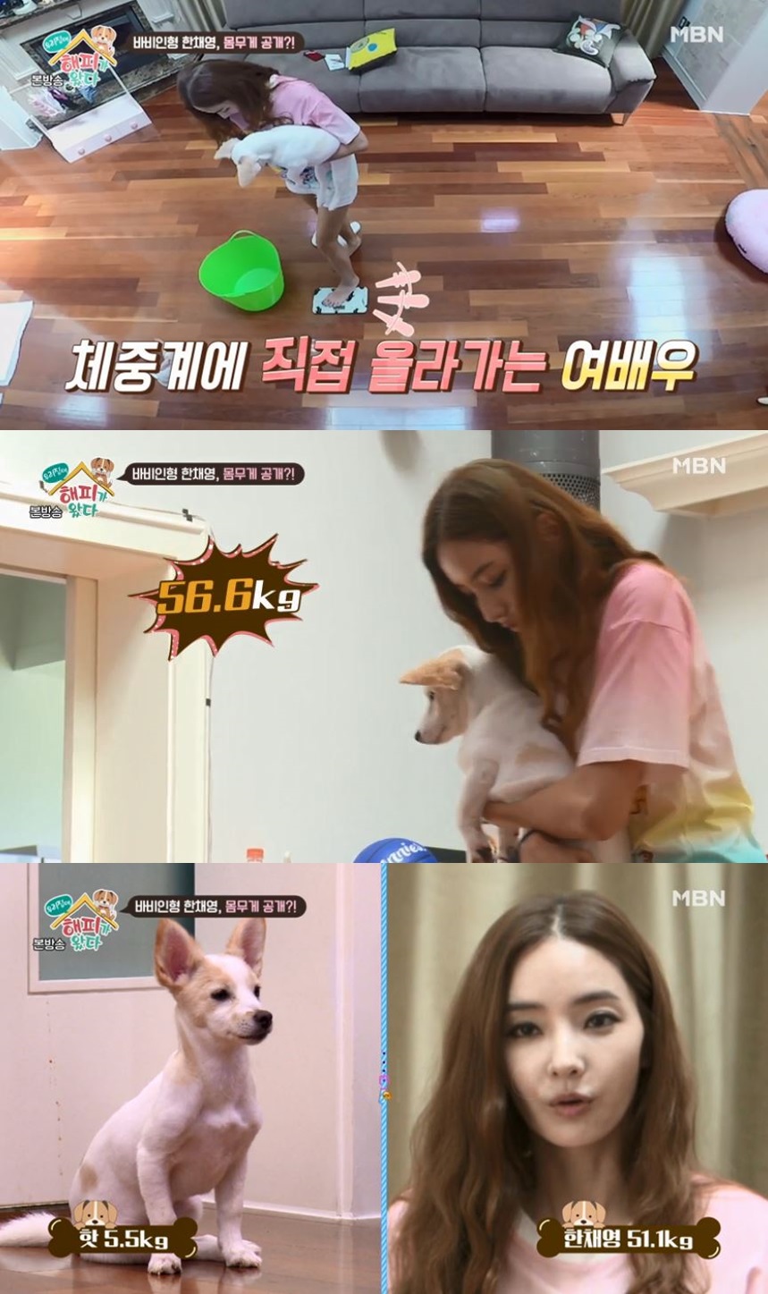 (출처=MBN화면 캡쳐)